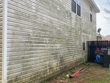 The dangers of letting mold and mildew build up on exterior surfaces